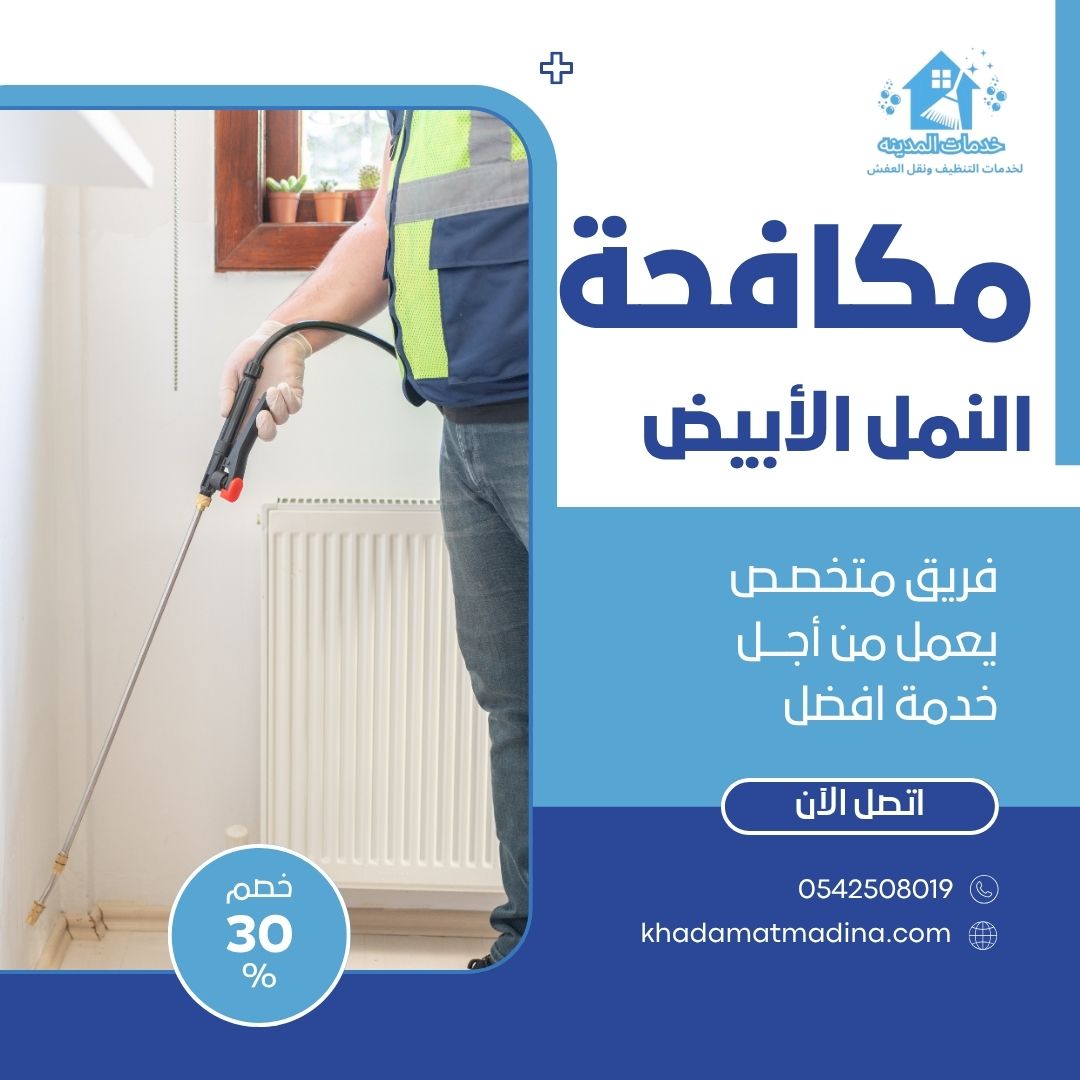 مكافحة النمل الأبيض بالمدينة المنورة